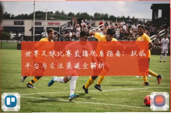 足球 比赛 直播 在线 观看 免费 观看怎么选？专业指南