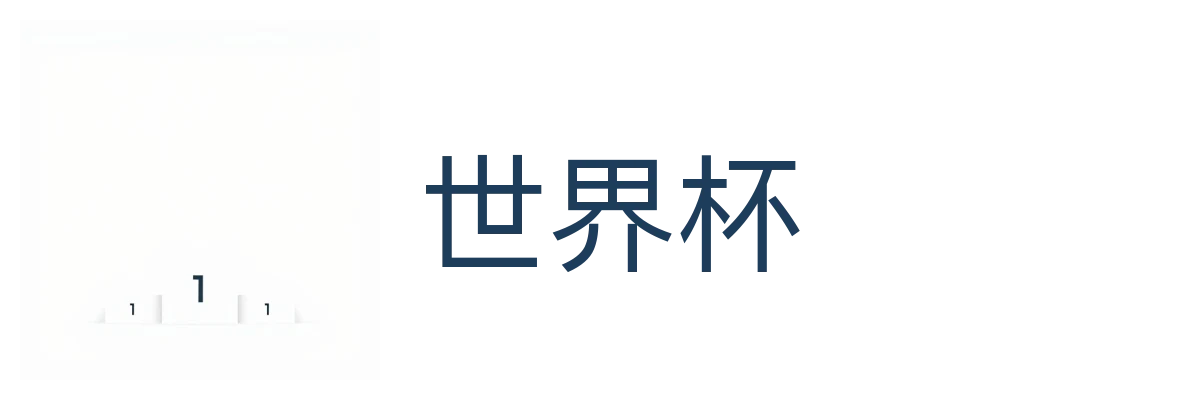 世界杯